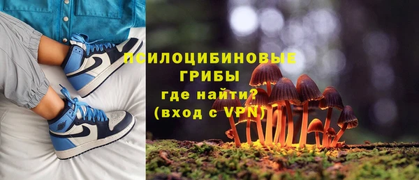 каннабис Лабытнанги