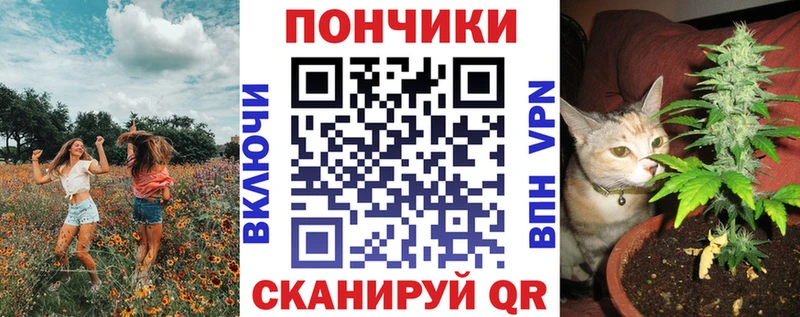 Купить где  Клинцы  Канабис планчик 